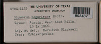 Image Associated With the Occurence